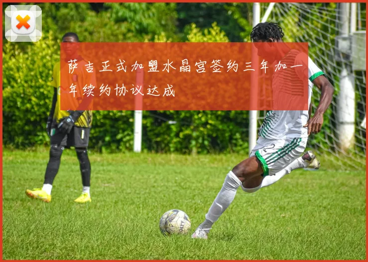 萨吉正式加盟水晶宫签约三年加一年续约协议达成